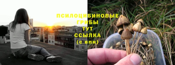 метадон Слюдянка