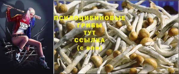 герыч Снежногорск