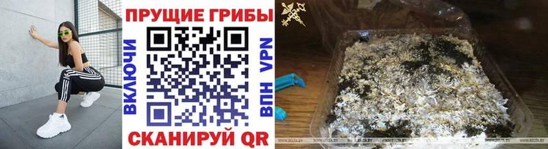 ссылка на мегу онион  Уржум  Псилоцибиновые грибы ЛСД 